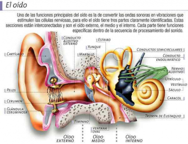 Las tecnologías auditivas podrían desempeñar un papel importante en el retraso de la demencia